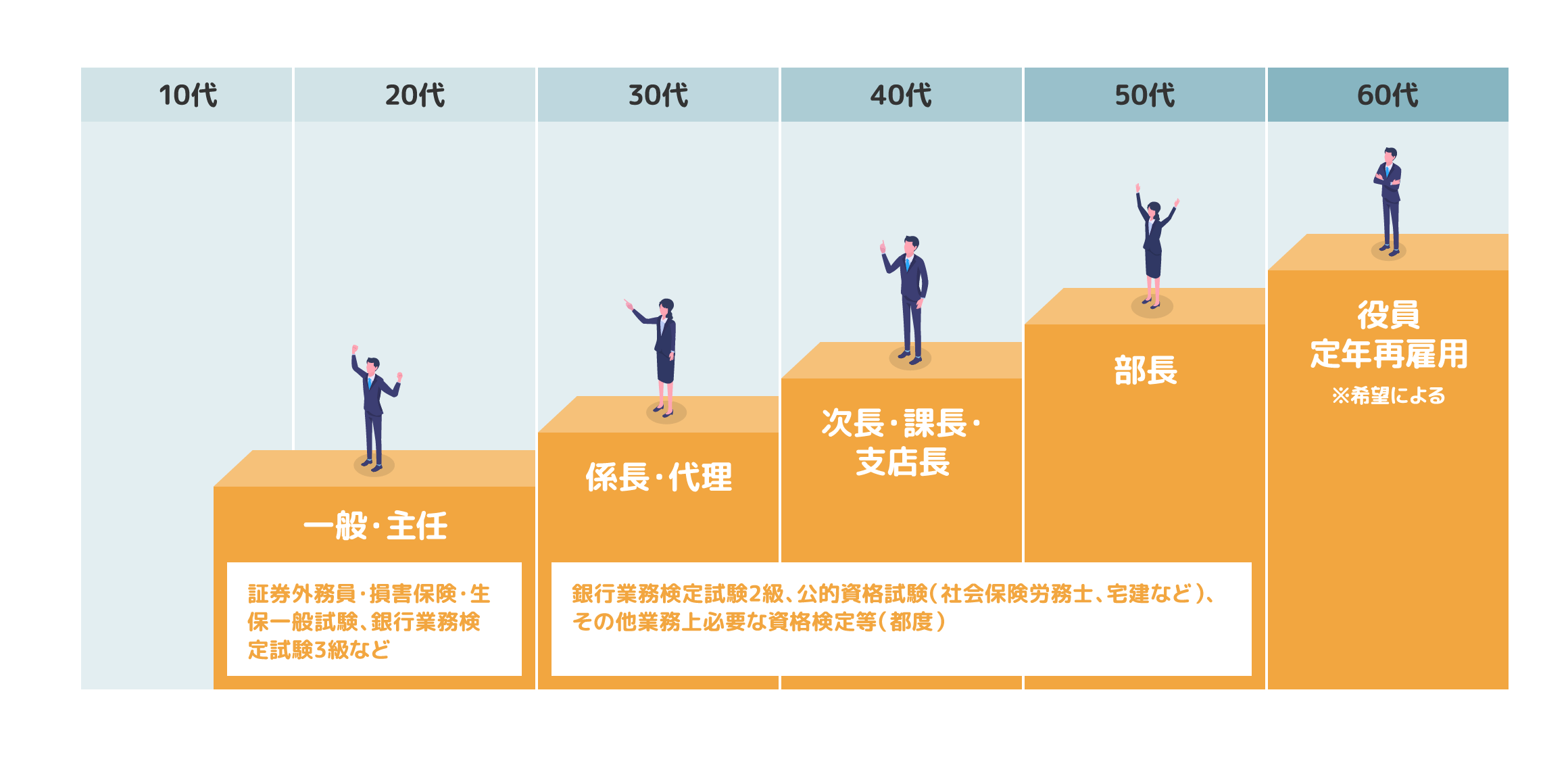 10〜20代 一般・主任 30代 係長・代理 40代次長・課長・支店長 50代 部長 60代 役員定年再雇用※希望による