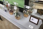gallery0706-05